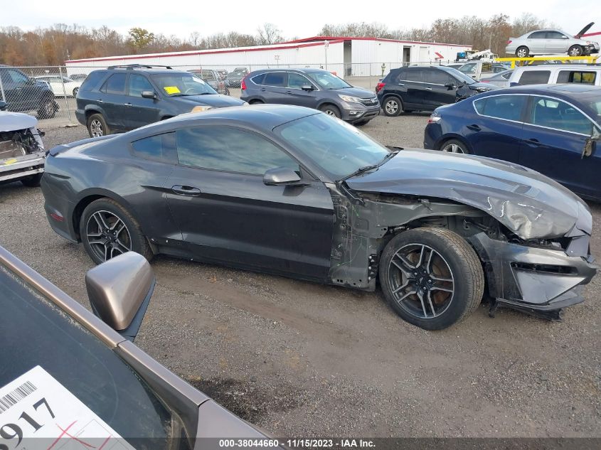 2019 FORD MUSTANG GT - 1FA6P8CF2K5103789