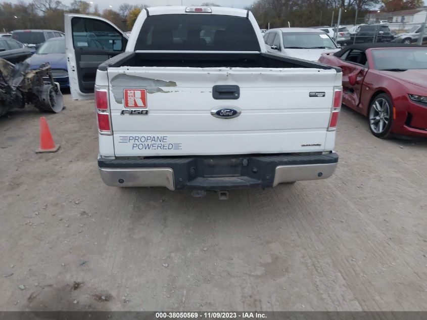 2014 FORD F-150 XL - 1FTEX1CM9EKE65684