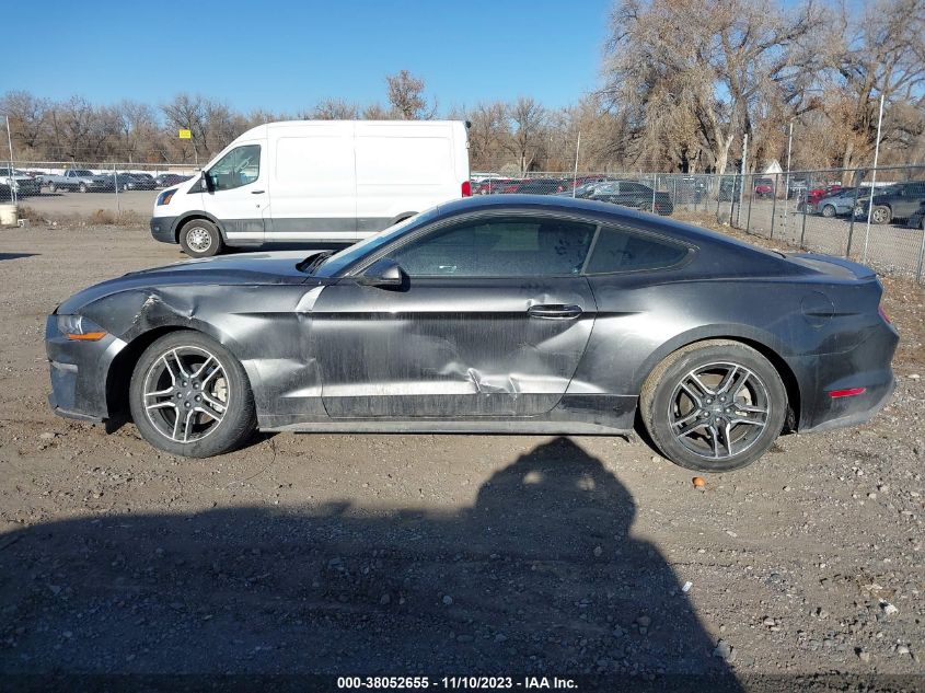 2019 FORD MUSTANG - 1FA6P8TH5K5134004