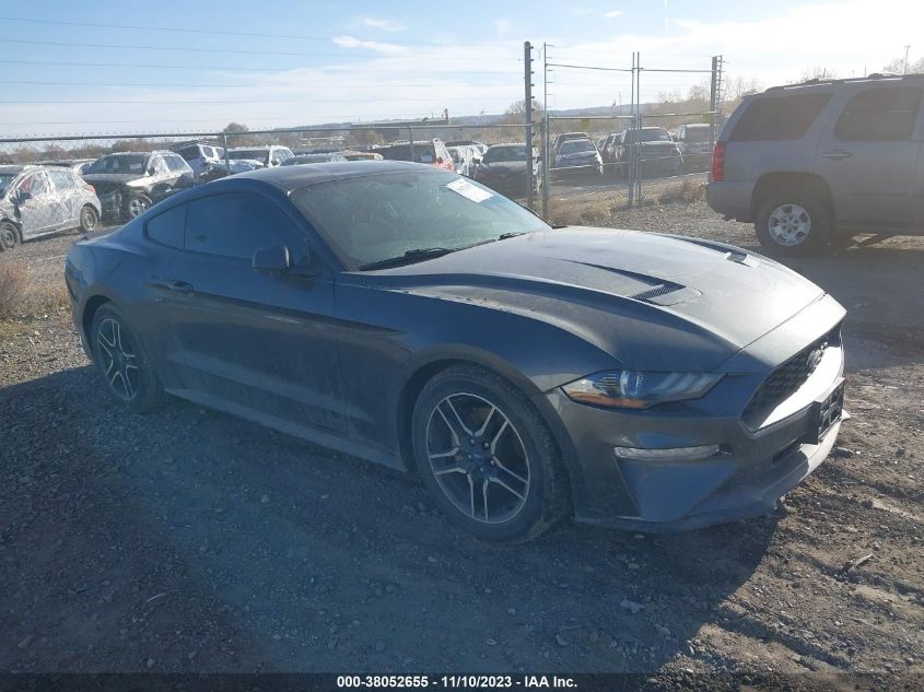 2019 FORD MUSTANG - 1FA6P8TH5K5134004