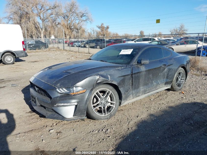 2019 FORD MUSTANG - 1FA6P8TH5K5134004