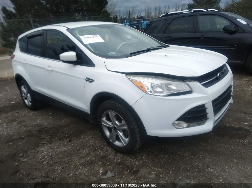 2014 FORD ESCAPE SE - 1FMCU0GX8EUE08424