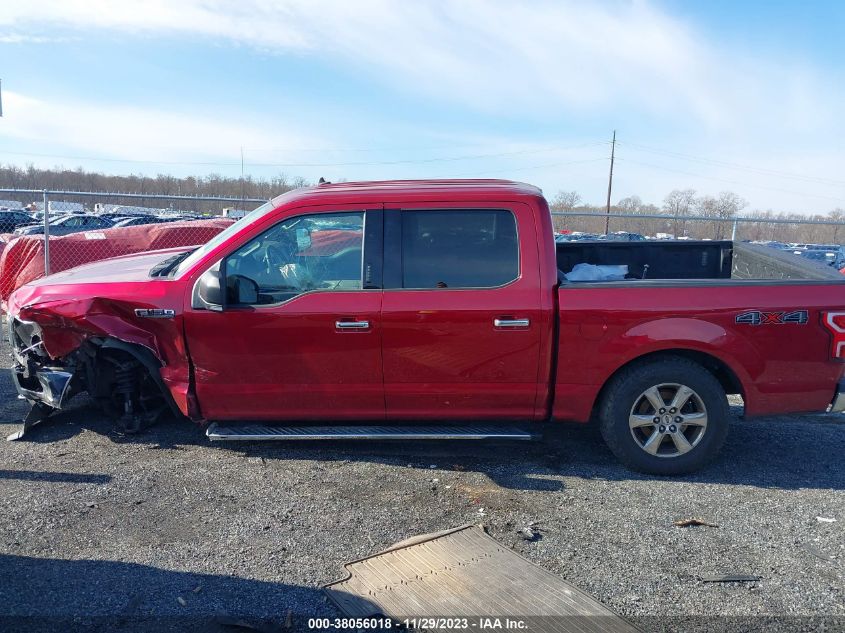 2019 FORD F-150 XL/XLT/LARIAT - 1FTEW1EP0KFA55824