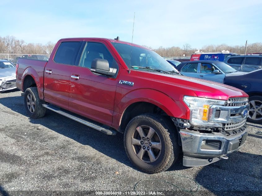 2019 FORD F-150 XL/XLT/LARIAT - 1FTEW1EP0KFA55824