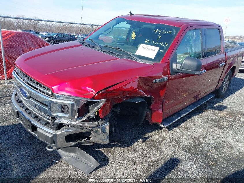 2019 FORD F-150 XL/XLT/LARIAT - 1FTEW1EP0KFA55824