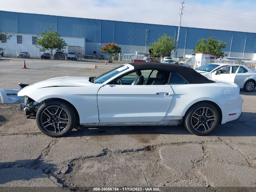 2019 FORD MUSTANG ECOBOOST - 1FATP8UH8K5179424