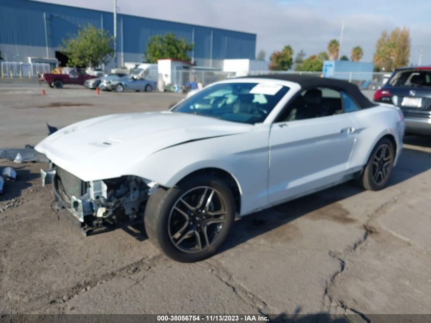 2019 FORD MUSTANG ECOBOOST - 1FATP8UH8K5179424