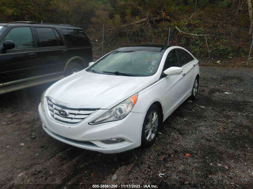 2013 HYUNDAI SONATA LIMITED - 5NPEC4AC8DH601498