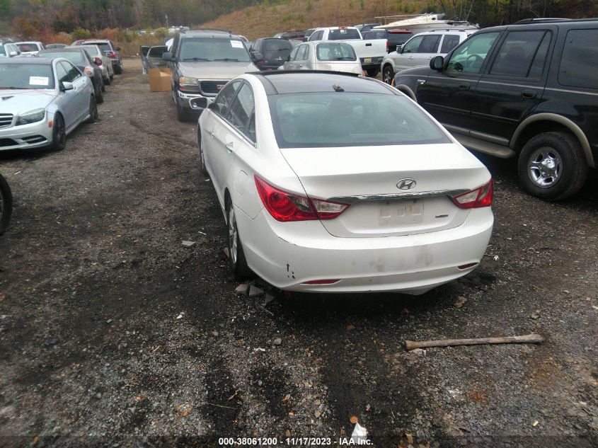 2013 HYUNDAI SONATA LIMITED - 5NPEC4AC8DH601498