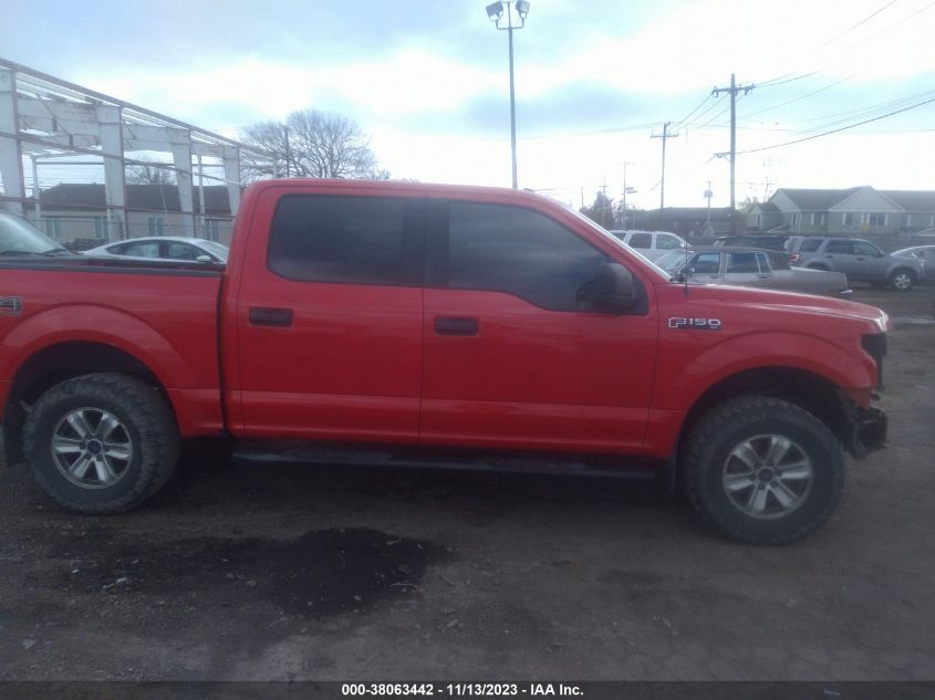 2015 FORD F-150 XL - 1FTEW1EF7FFC73207