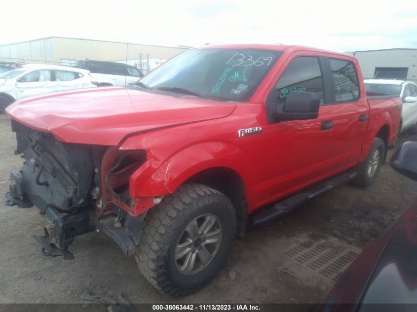 2015 FORD F-150 XL - 1FTEW1EF7FFC73207