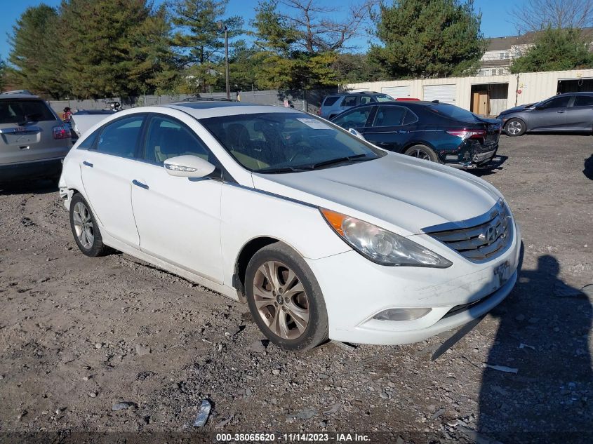 2013 HYUNDAI SONATA SE/LIMITED - 5NPEC4AC4DH534124