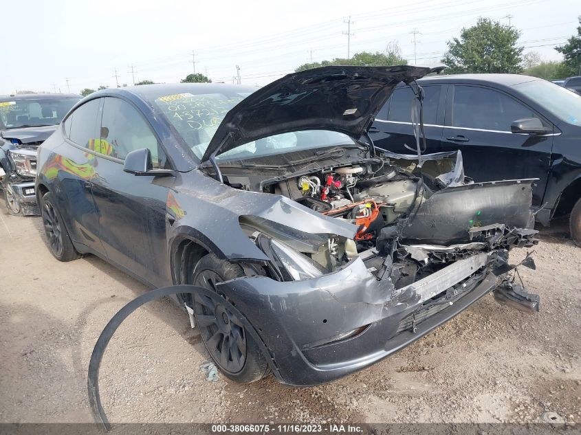 2022 TESLA MODEL Y - 7SAYGDEE9NF437212