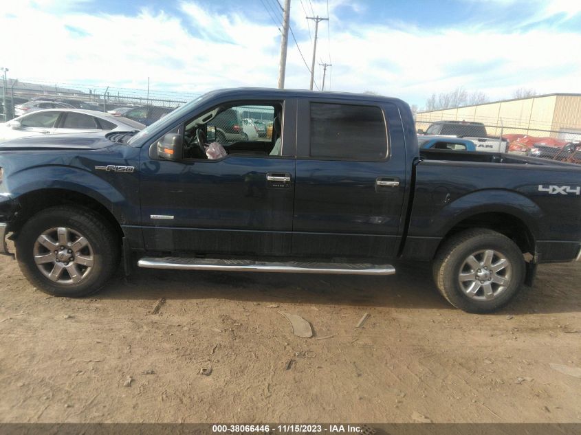 2014 FORD F-150 XL/XLT/FX4/LARIAT - 1FTFW1ET1EFB15602