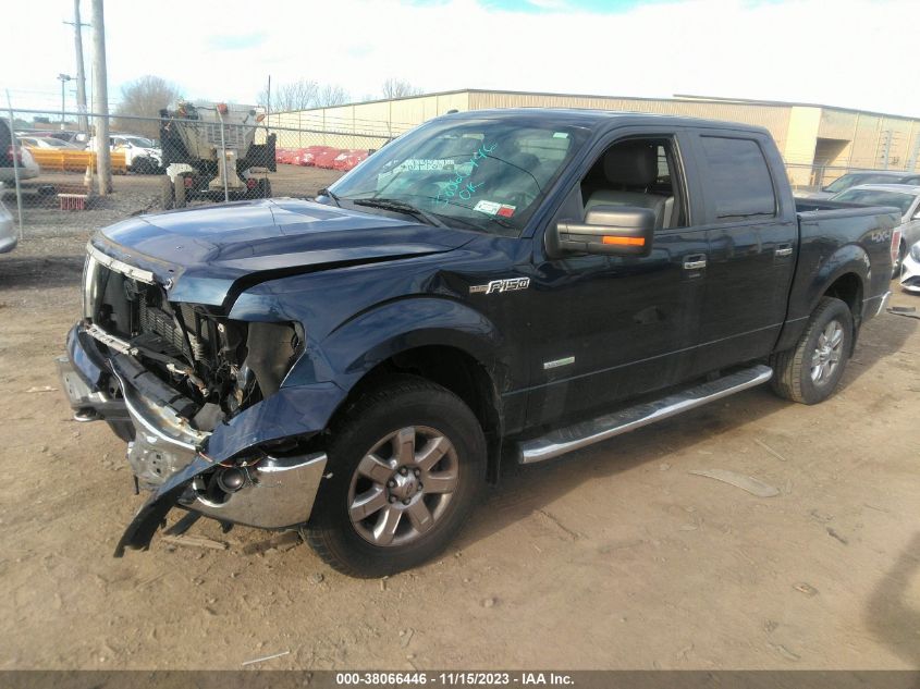 2014 FORD F-150 XL/XLT/FX4/LARIAT - 1FTFW1ET1EFB15602