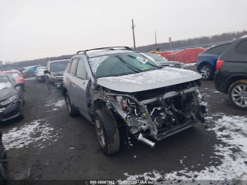 Lot #2539238123 2023 TOYOTA RAV4 XLE salvage car