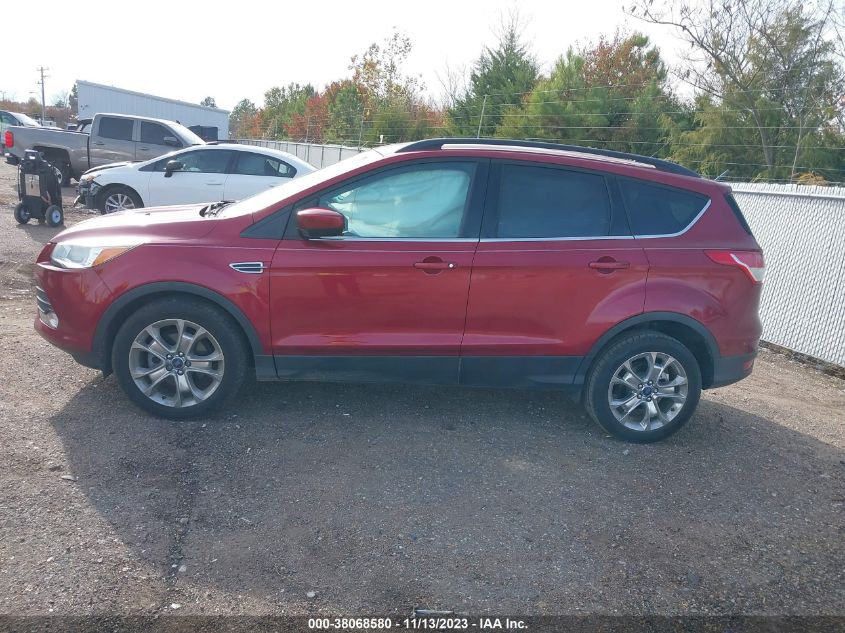 2014 FORD ESCAPE SE - 1FMCU0GXXEUE20087