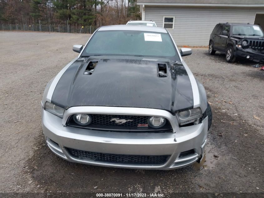 1ZVBP8CF9D5270451 2013 FORD MUSTANG, photo no. 13