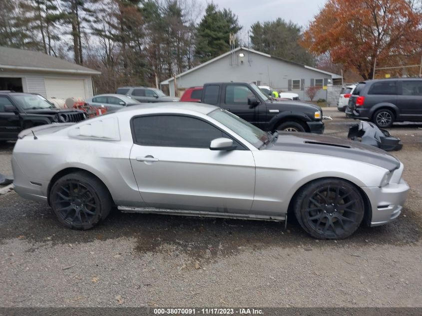 1ZVBP8CF9D5270451 2013 FORD MUSTANG, photo no. 14