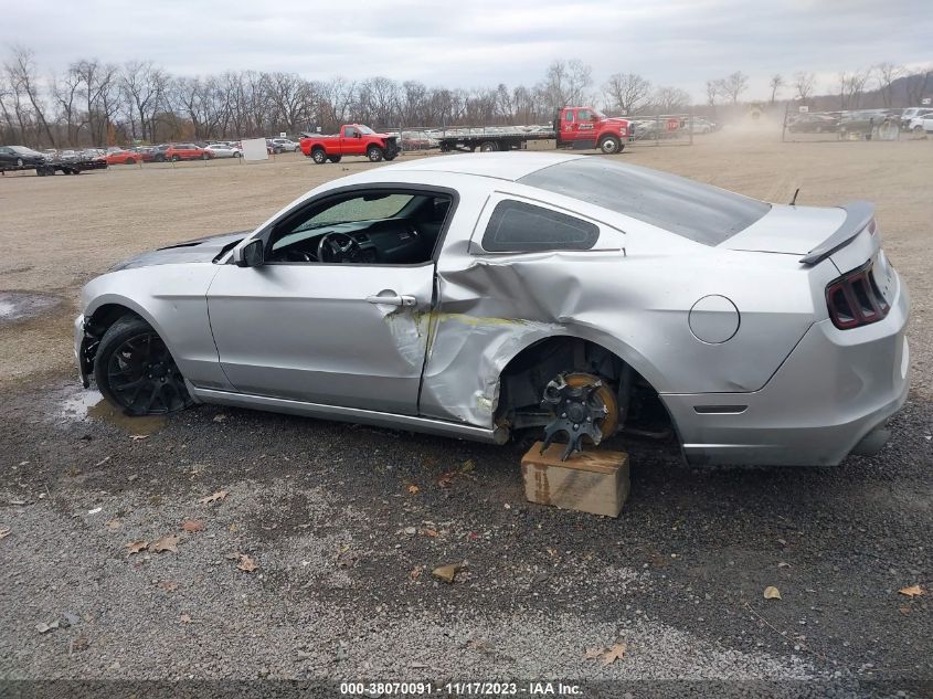 1ZVBP8CF9D5270451 2013 FORD MUSTANG, photo no. 15