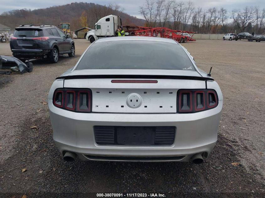 1ZVBP8CF9D5270451 2013 FORD MUSTANG, photo no. 17