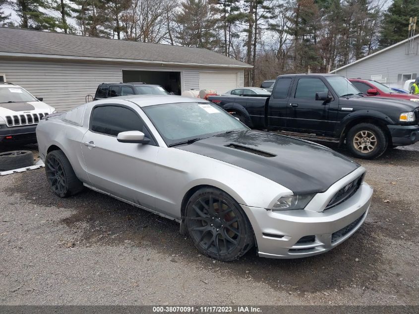 1ZVBP8CF9D5270451 2013 FORD MUSTANG, photo no. 1