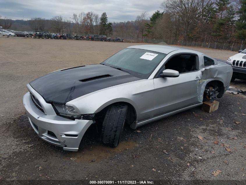 1ZVBP8CF9D5270451 2013 FORD MUSTANG, photo no. 2