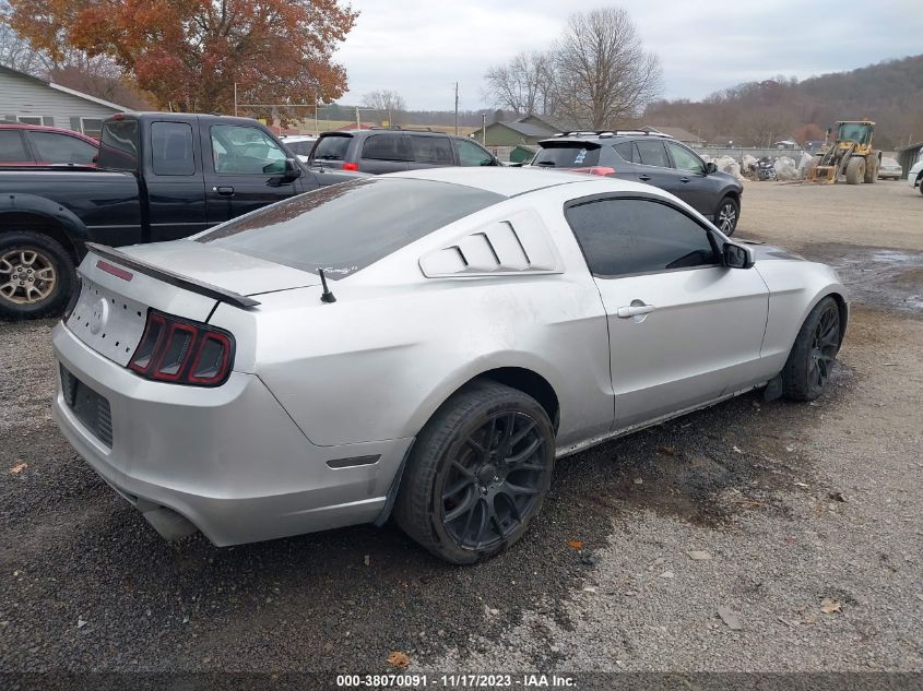 1ZVBP8CF9D5270451 2013 FORD MUSTANG, photo no. 4