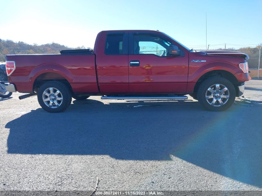 2014 FORD F-150 XLT - 1FTFX1CF3EKF32902