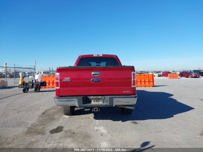 2014 FORD F-150 XLT - 1FTFX1CF3EKF32902