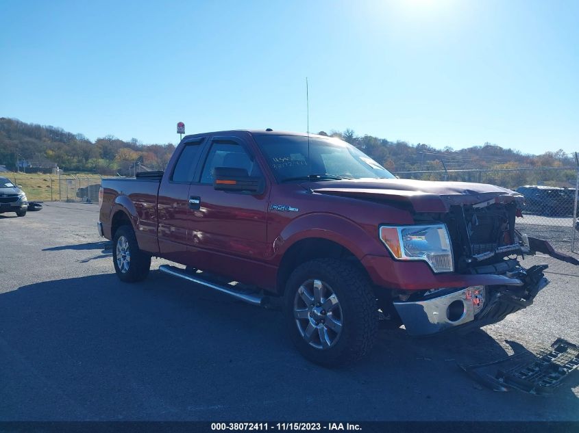 2014 FORD F-150 XLT - 1FTFX1CF3EKF32902