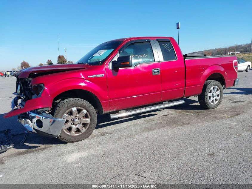 2014 FORD F-150 XLT - 1FTFX1CF3EKF32902