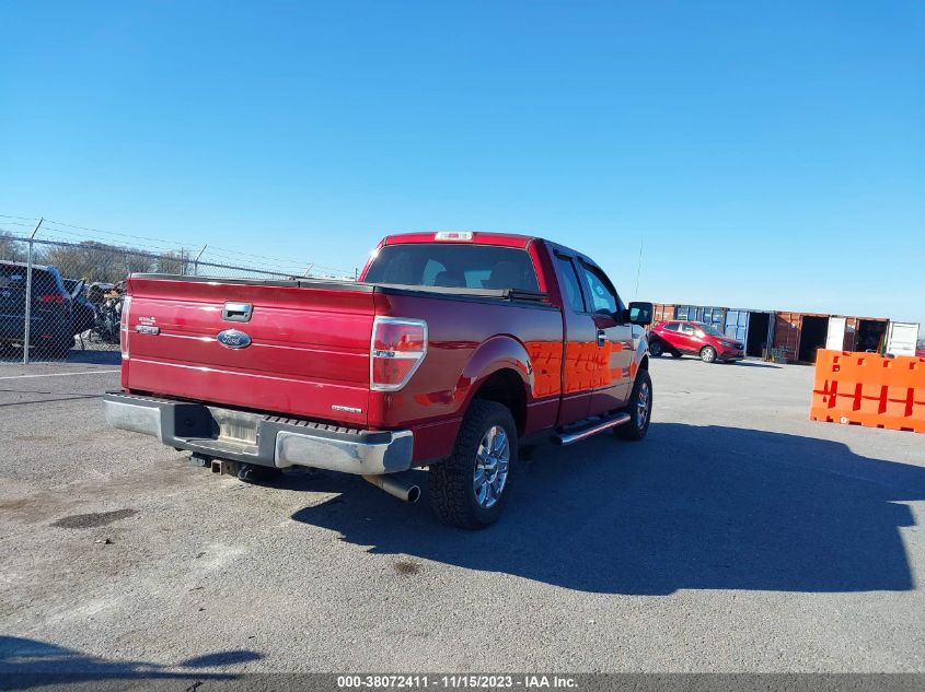2014 FORD F-150 XLT - 1FTFX1CF3EKF32902