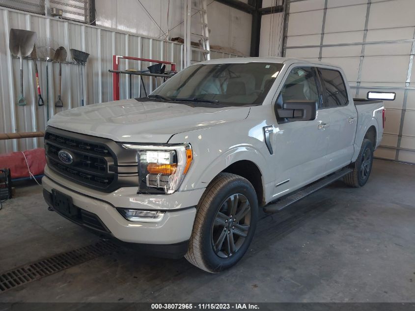 2023 FORD F-150 XLT - 1FTFW1ED9PFC75061