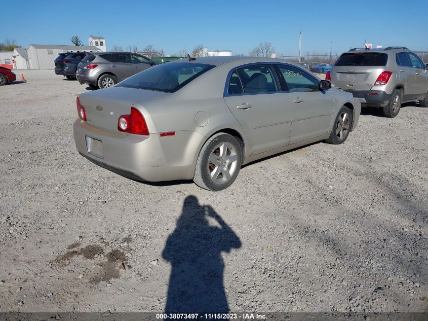 1G1ZB5EB7AF109281 | 2010 CHEVROLET MALIBU