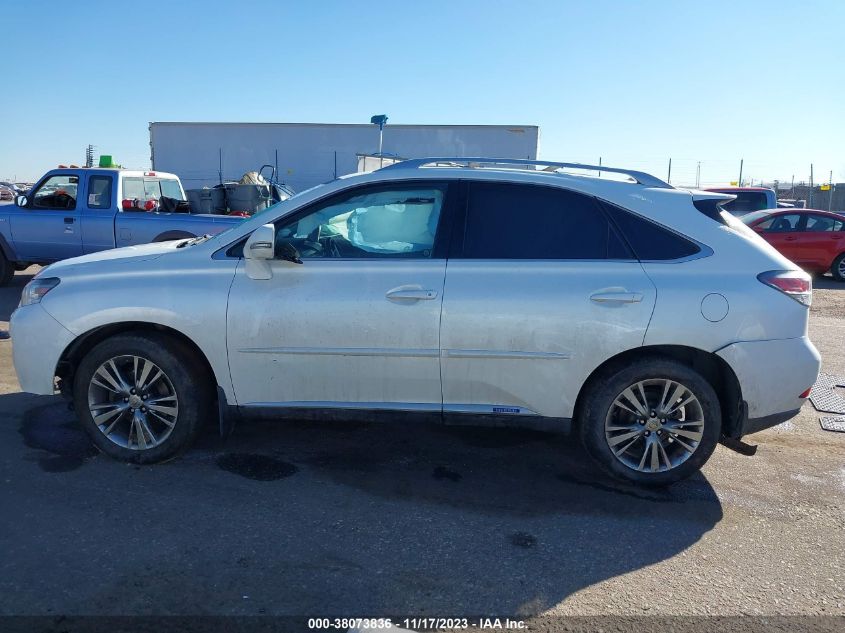 2013 LEXUS RX 450H - JTJBC1BA5D2446969