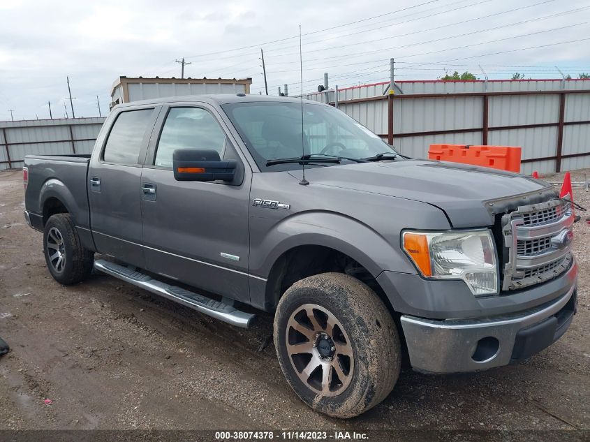 2014 FORD F-150 XLT - 1FTFW1CT5EKF35602