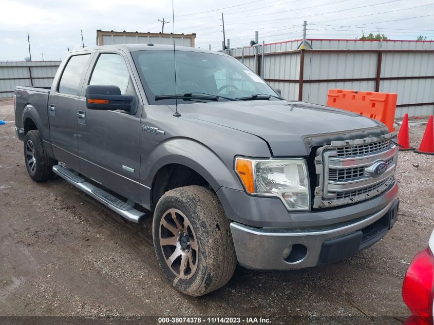 2014 FORD F-150 XLT - 1FTFW1CT5EKF35602