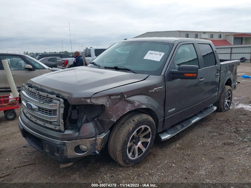 2014 FORD F-150 XLT - 1FTFW1CT5EKF35602