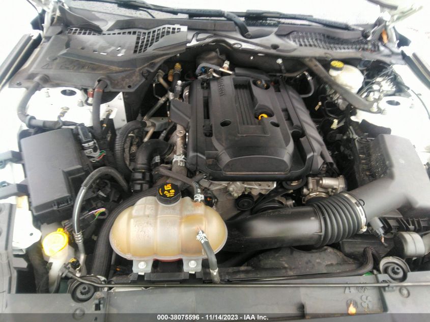 2019 FORD MUSTANG - 1FATP8UH4K5181834