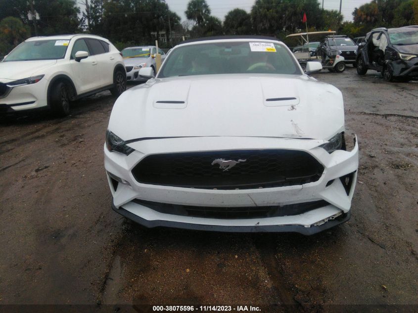 2019 FORD MUSTANG - 1FATP8UH4K5181834