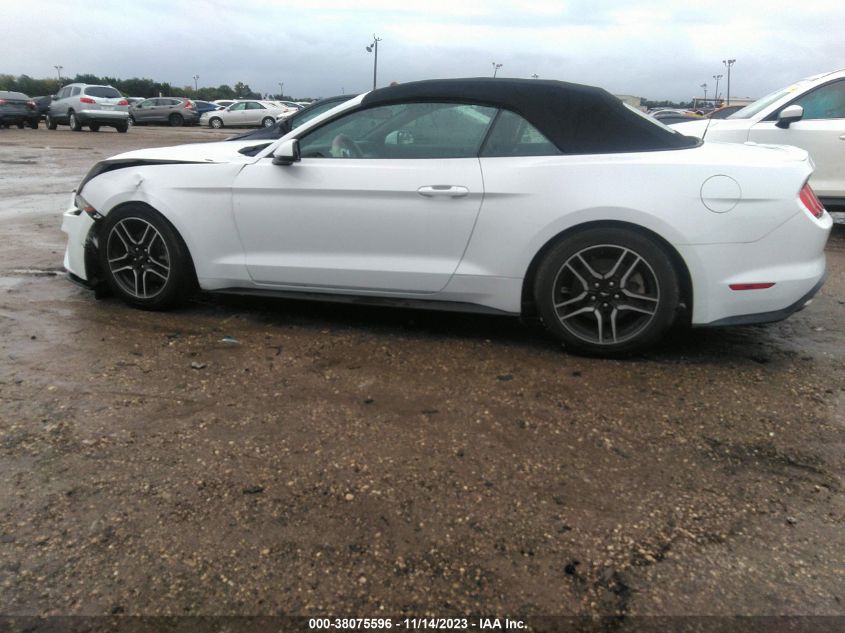 2019 FORD MUSTANG - 1FATP8UH4K5181834