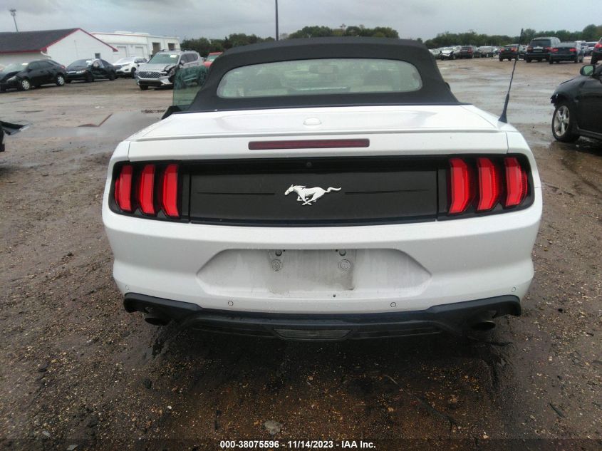 2019 FORD MUSTANG - 1FATP8UH4K5181834