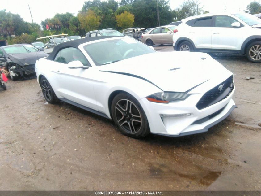 2019 FORD MUSTANG - 1FATP8UH4K5181834