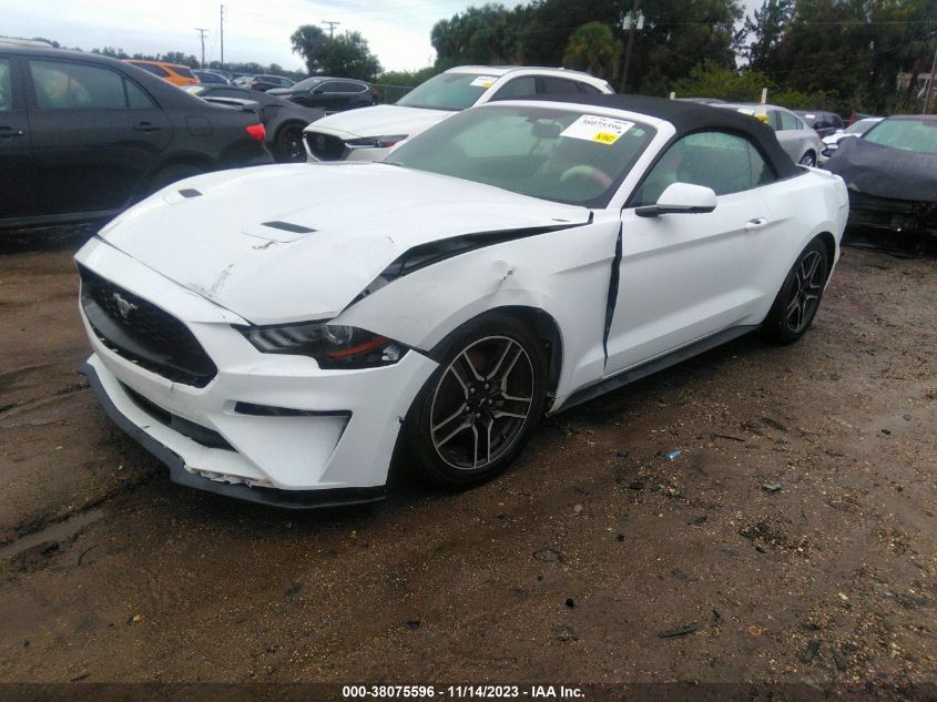 2019 FORD MUSTANG - 1FATP8UH4K5181834