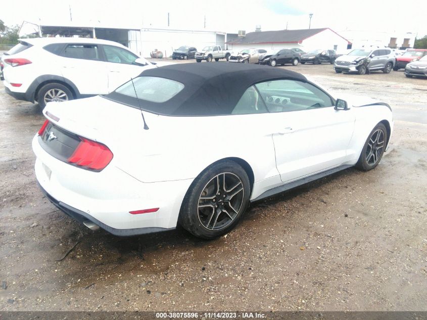 2019 FORD MUSTANG - 1FATP8UH4K5181834