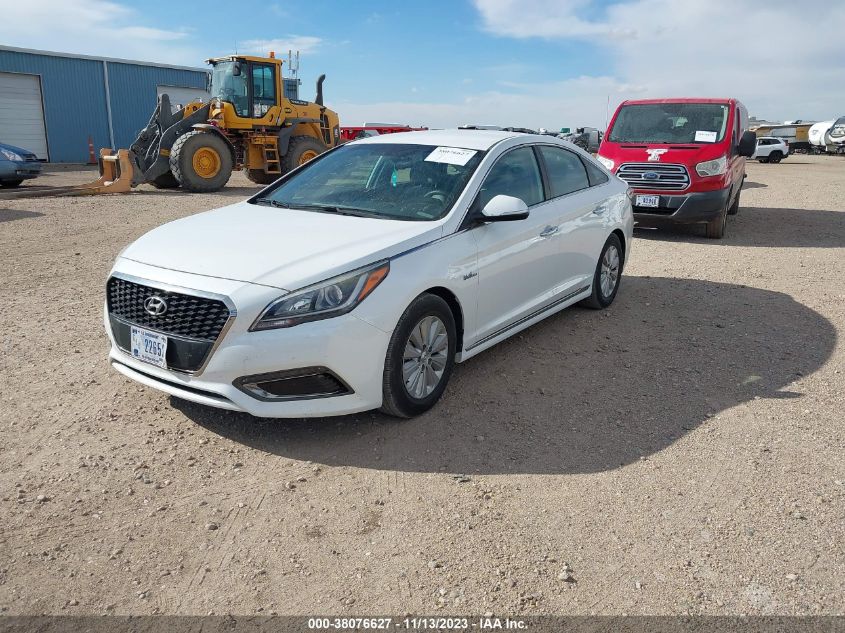 2016 HYUNDAI SONATA HYBRID SE - KMHE24L14GA039444