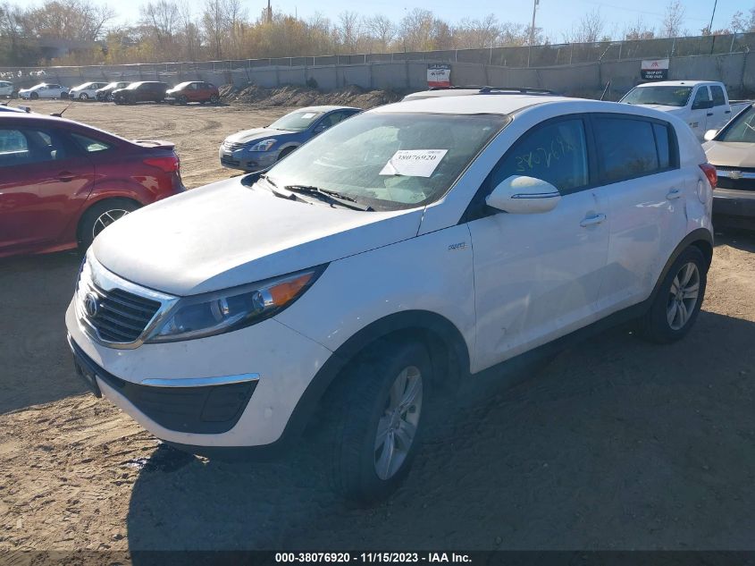 2013 KIA SPORTAGE LX - KNDPBCA20D7405508