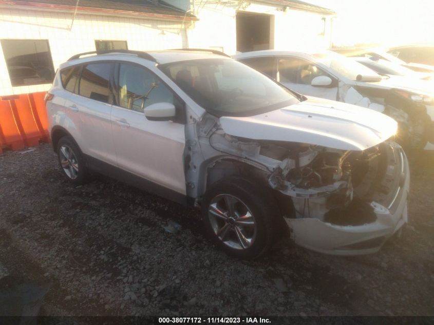 2013 FORD ESCAPE SE - 1FMCU0GX1DUD34844