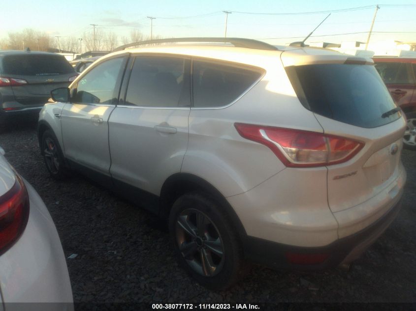 2013 FORD ESCAPE SE - 1FMCU0GX1DUD34844